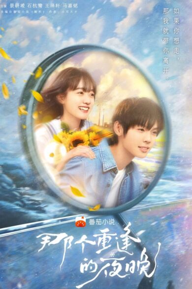 We Shall Meet Again (2024)  
